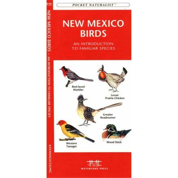 Waterford Press New Mexico Birds Book: An Introduction to Familiar Species State Nature Guides WFP1583551875